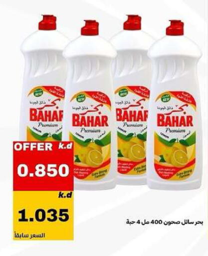 available at Daiya Society in Kuwait - Ahmadi Governorate