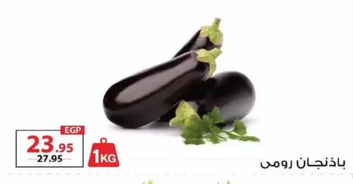 available at زهران ماركت in Egypt - القاهرة