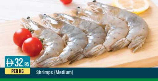 available at ويست زون سوبرماركت in الإمارات العربية المتحدة , الامارات - دبي
