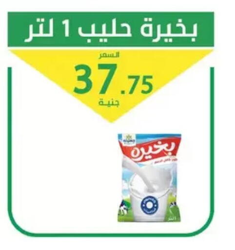 available at سوق العمدة in Egypt - القاهرة