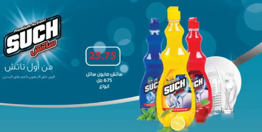 available at رويال هاوس in Egypt - القاهرة