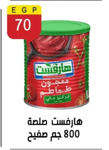 available at Ben Seleman in Egypt - Cairo