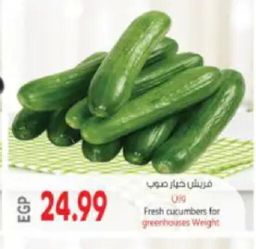 available at ماركت بني الجديد in Egypt - القاهرة