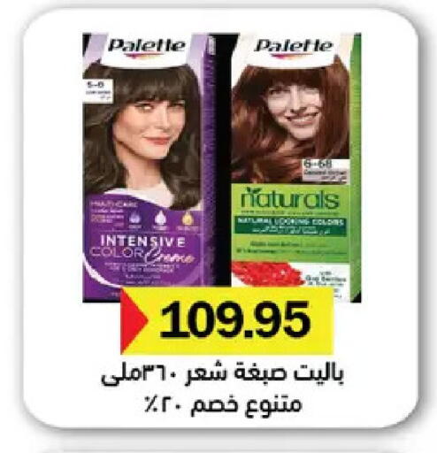 available at رويال هاوس in Egypt - القاهرة