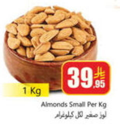 available at دي مارت هايبر in مملكة العربية السعودية, السعودية, سعودية - المنطقة الشرقية
