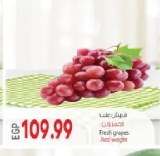 Grapes available at سوبر ماركت الحسينى in Egypt - القاهرة