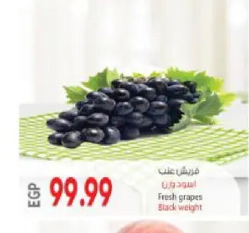 Grapes available at سوبر ماركت الحسينى in Egypt - القاهرة
