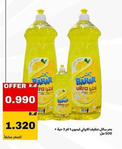 available at Daiya Society in Kuwait - Ahmadi Governorate