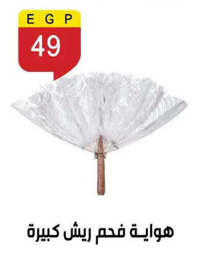 available at Ben Seleman in Egypt - Cairo