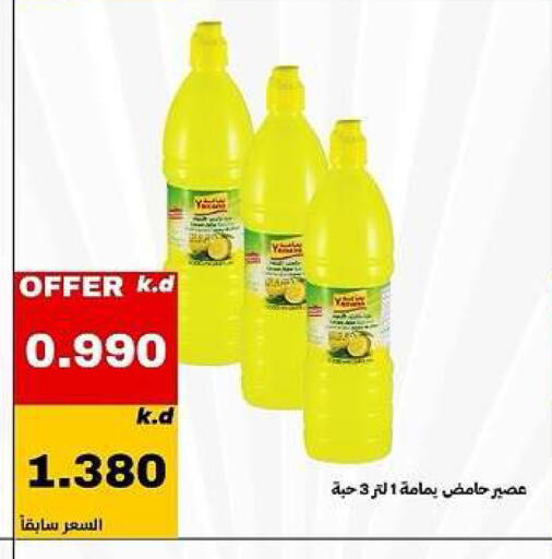 available at Daiya Society in Kuwait - Ahmadi Governorate