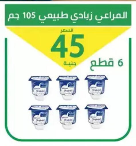 available at سوق العمدة in Egypt - القاهرة