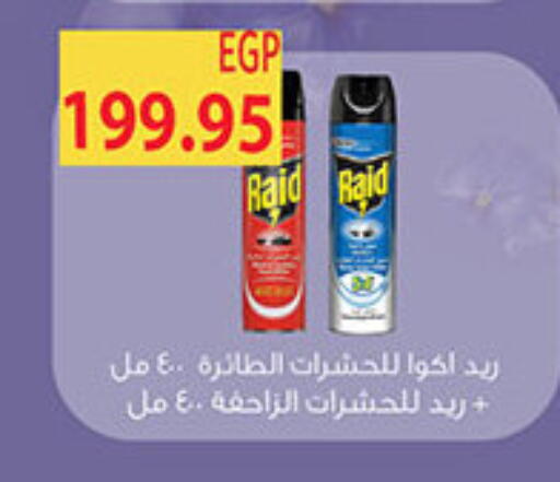 available at الجيزاوى ماركت in Egypt - القاهرة