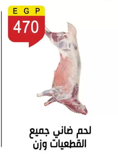 available at Ben Seleman in Egypt - Cairo