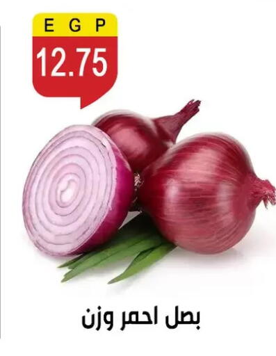 available at Ben Seleman in Egypt - Cairo