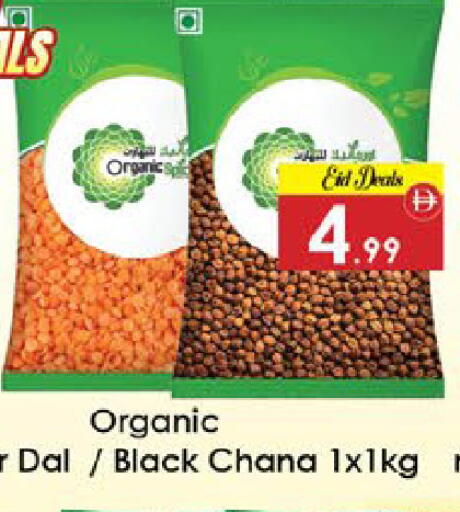 available at ايكو مول & ايكو هايبرماركت in الإمارات العربية المتحدة , الامارات - ٱلْعَيْن‎