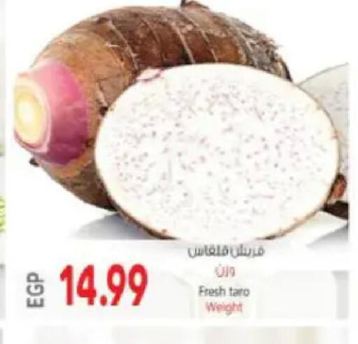 Taro available at ماركت بني الجديد in Egypt - القاهرة