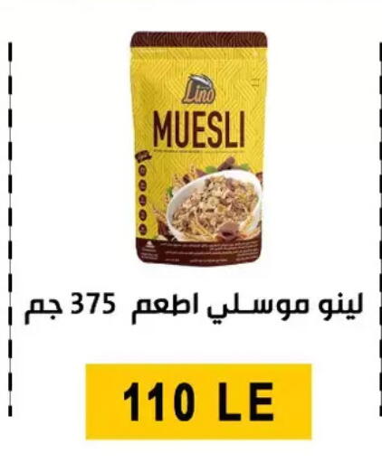 available at Ben Seleman in Egypt - Cairo