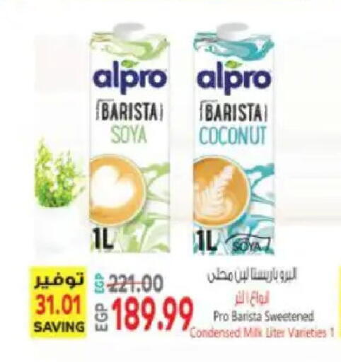 Coconut available at ماركت بني الجديد in Egypt - القاهرة