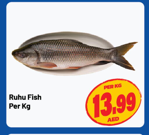 available at Dream Land in UAE - Sharjah / Ajman