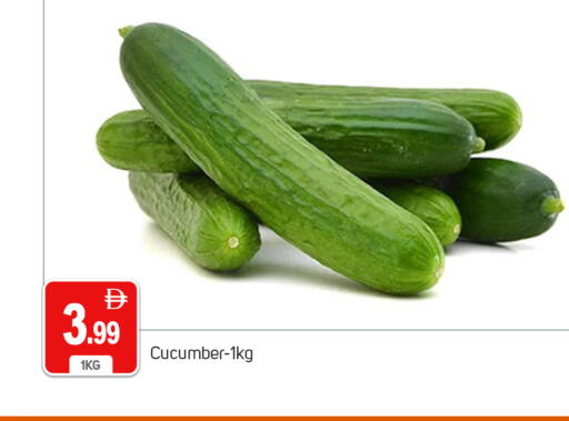 Cucumber available at سوق طلال in الإمارات العربية المتحدة , الامارات - دبي