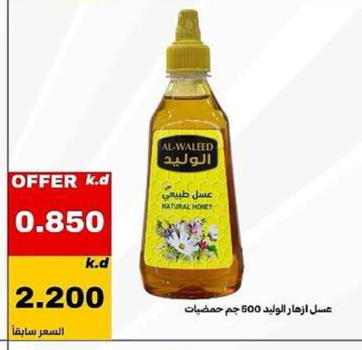 available at Daiya Society in Kuwait - Ahmadi Governorate