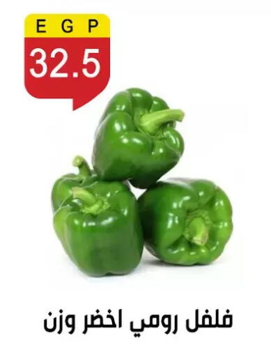 available at Ben Seleman in Egypt - Cairo