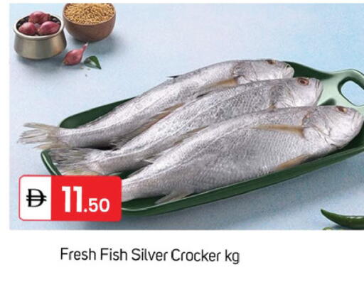 available at سوق طلال in الإمارات العربية المتحدة , الامارات - دبي