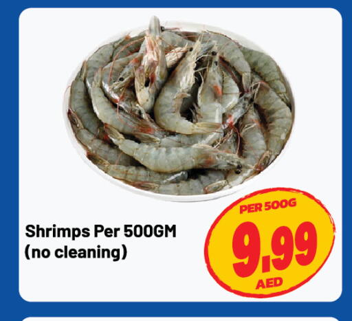 available at Dream Land in UAE - Sharjah / Ajman