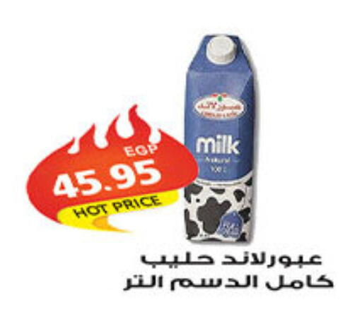 available at الجيزاوى ماركت in Egypt - القاهرة