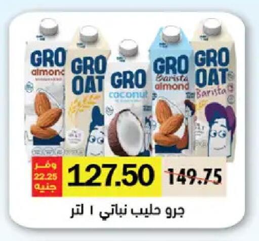 Coconut available at رويال هاوس in Egypt - القاهرة