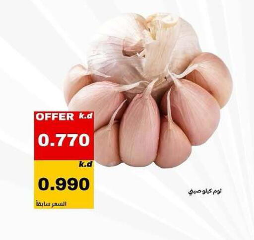 available at Daiya Society in Kuwait - Ahmadi Governorate