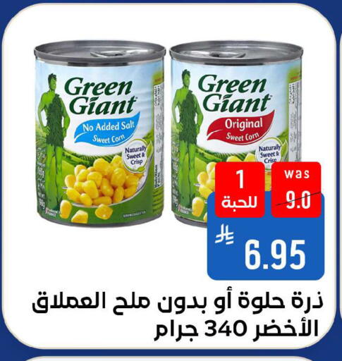 available at شبرا الطائف in مملكة العربية السعودية, السعودية, سعودية - الطائف