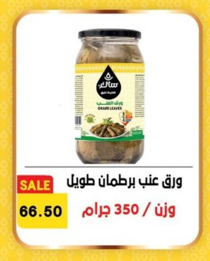 available at Hyper El Qudse in Egypt - Cairo