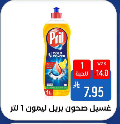 available at شبرا الطائف in مملكة العربية السعودية, السعودية, سعودية - الطائف