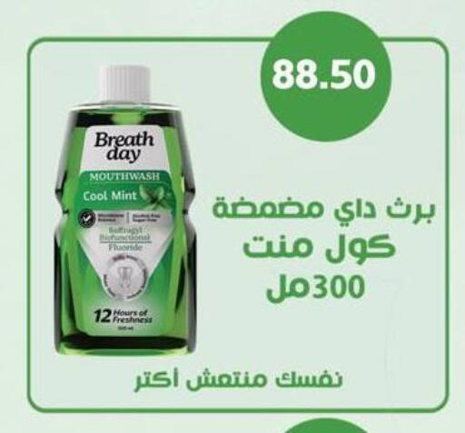 Mint available at Negmet Heliopolis Hyper Gamal Salama in Egypt - Cairo