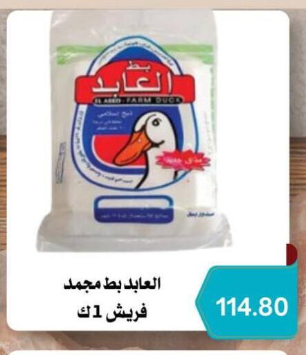 available at Negmet Heliopolis Hyper Gamal Salama in Egypt - Cairo