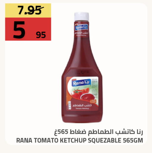 Tomato available at Astra Markets in KSA, Saudi Arabia, Saudi - Tabuk