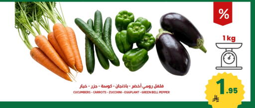Zucchini Eggplant Bell Pepper available at Antara World in KSA, Saudi Arabia, Saudi - Khamis Mushait