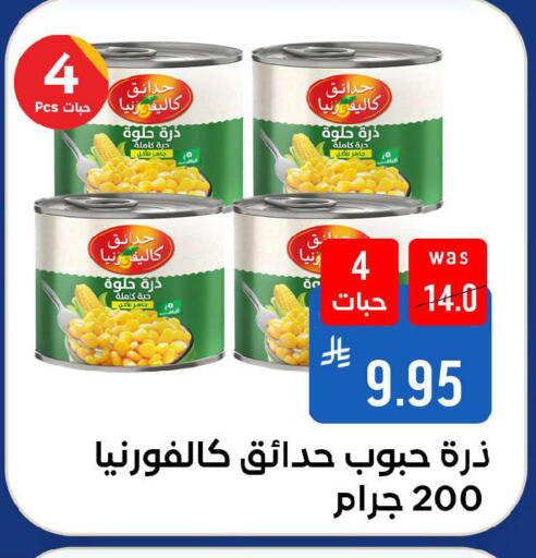 available at شبرا الطائف in مملكة العربية السعودية, السعودية, سعودية - الطائف