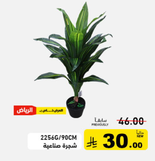 available at أسواق رامز in مملكة العربية السعودية, السعودية, سعودية - تبوك
