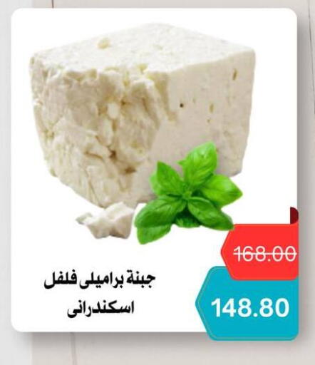 available at Negmet Heliopolis Hyper Gamal Salama in Egypt - Cairo