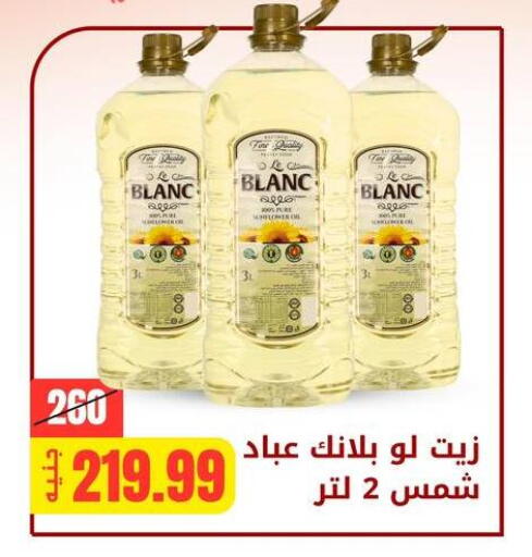 available at Allosh ElBazaar in Egypt - Cairo