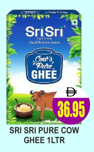 available at مجمع باتيل فريش in الإمارات العربية المتحدة , الامارات - دبي