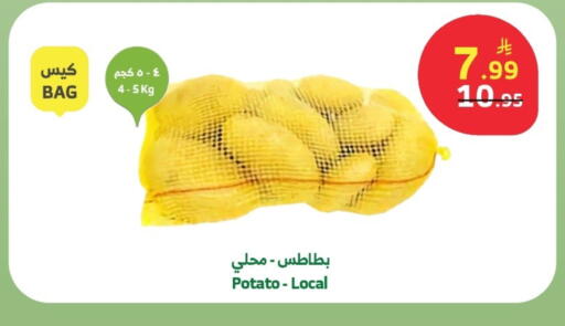 Potato available at الراية in مملكة العربية السعودية, السعودية, سعودية - خميس مشيط