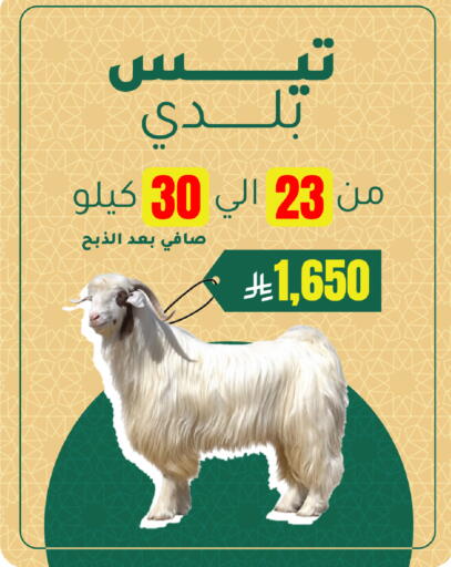 available at الهاجري الأغذية in مملكة العربية السعودية, السعودية, سعودية - أبها