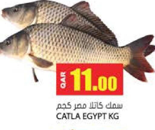 available at Grand Hypermarket in Qatar - Al Wakra