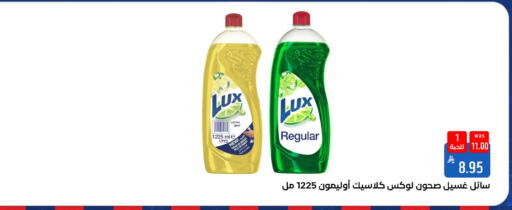 Lemon available at شبرا الطائف in مملكة العربية السعودية, السعودية, سعودية - الطائف