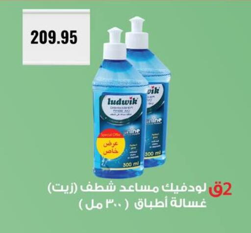 available at نجمة هليوبوليس جمال سلامة in Egypt - القاهرة