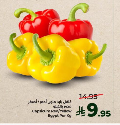 Capsicum from Egypt available at LULU Hypermarket in KSA, Saudi Arabia, Saudi - Al Khobar