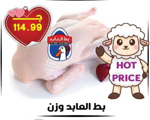 available at هايبر القدس in Egypt - القاهرة